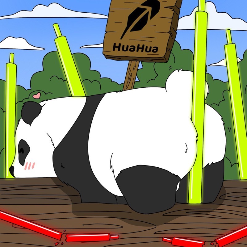 HUAHUA panda